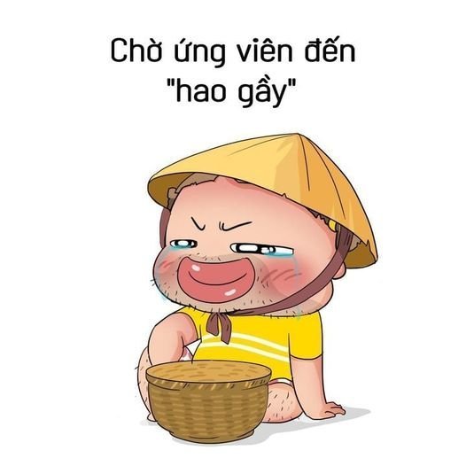lĩnh vực hoạt động